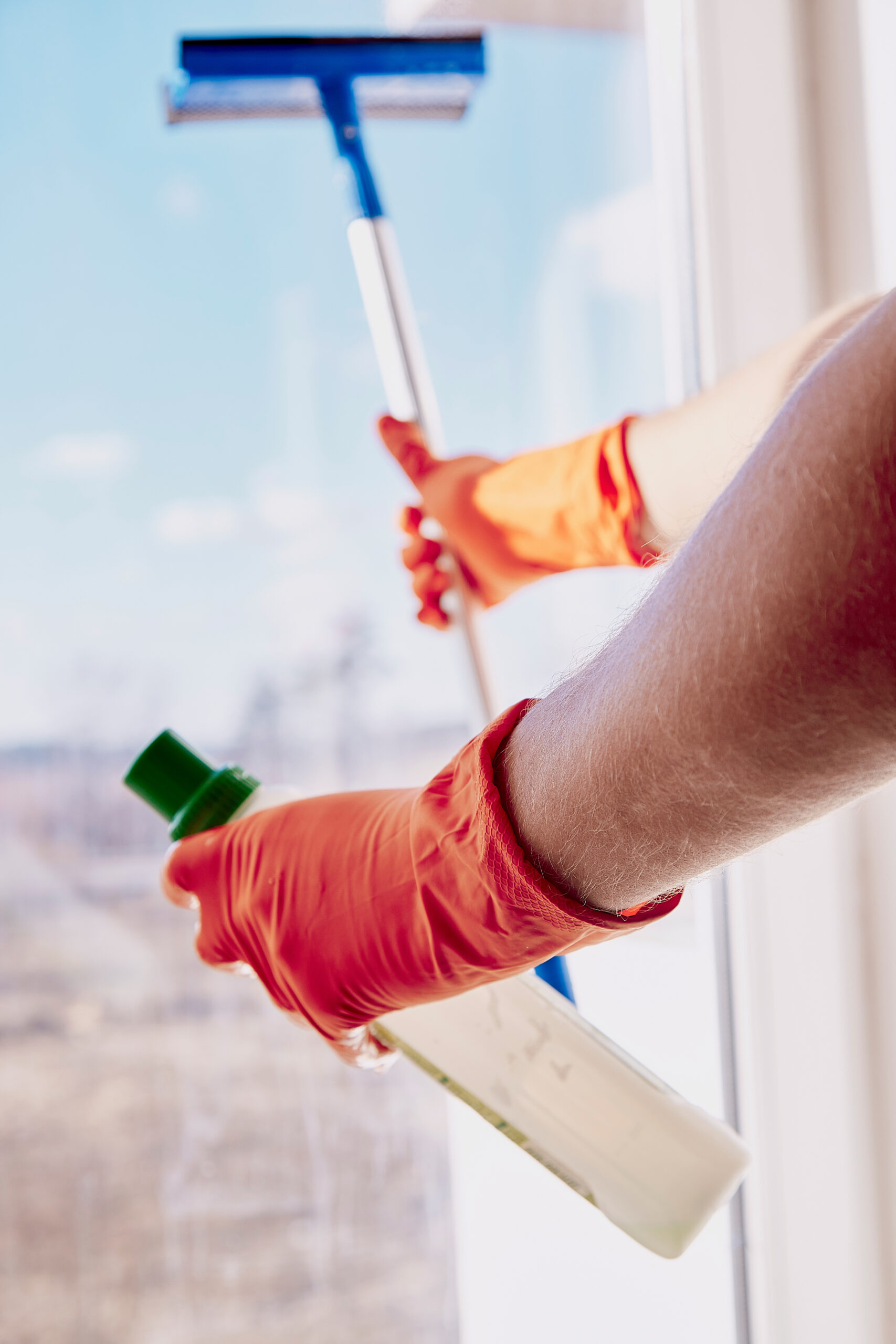 Services complémentaires Geste Pur